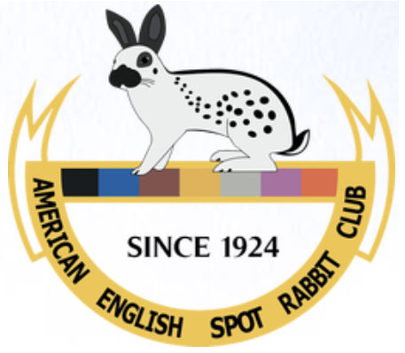 American English Spot Rabbit Club